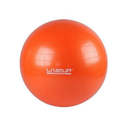LIVEUP Gym Ball Anti-Burst Piłka gimnastyczna 65 cm – pomarańczowa